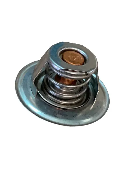 Termostato — código 2485613, Massey Ferguson